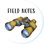 Field Notes